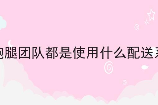 同城跑腿团队都是使用什么配送系统的怎么做？这些技巧学起来！