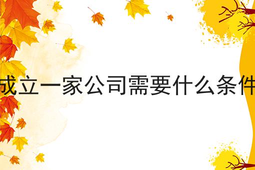 成立一家公司需要什么条件