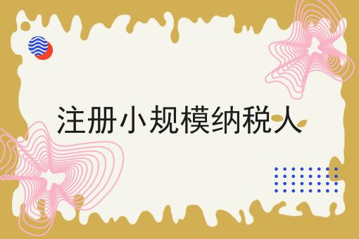 注册小规模纳税人