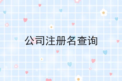 公司注册名查询