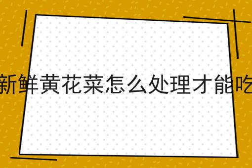刚成立的公司需要办理icp许可证吗 刚成立的公司需要办理icp许可证吗