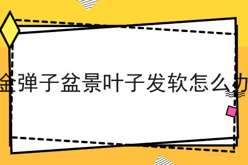edi许可证办理需要多久