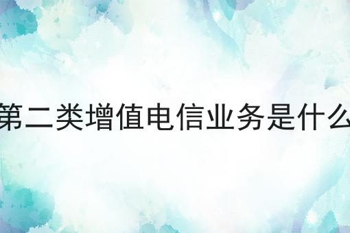 一个最佳的第二类增值电信业务是什么策略