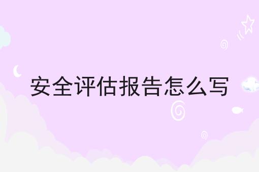安全评估报告怎么写