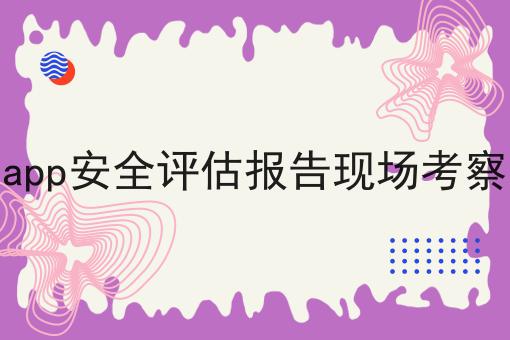 app安全评估报告现场考察