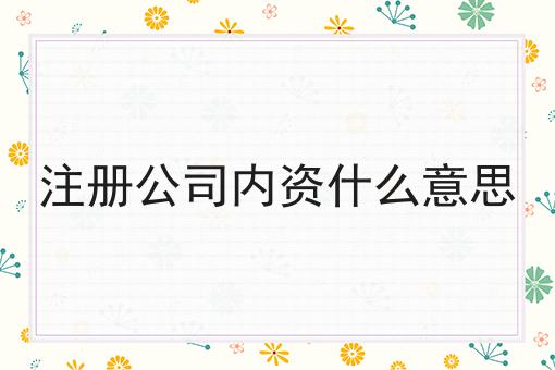 注册公司内资什么意思