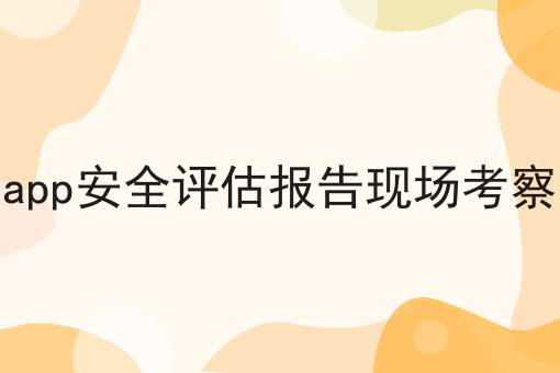app安全评估报告现场考察