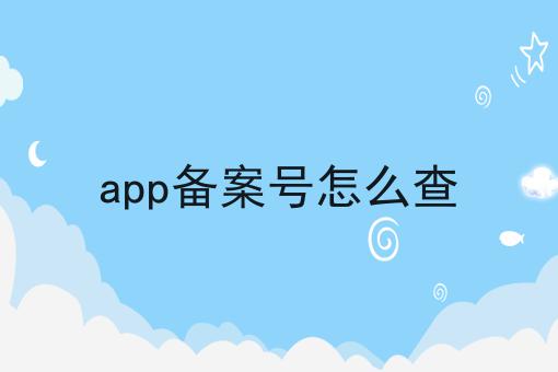 app备案号怎么查如何选？什么app备案号怎么查更划算？
