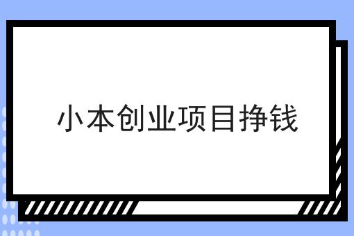 小本创业项目挣钱