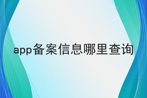 app备案信息哪里查询，详细为你解读！