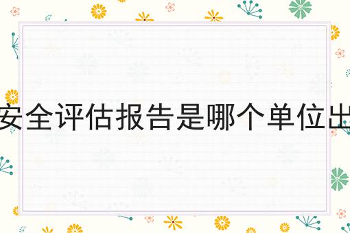 安全评估报告是哪个单位出