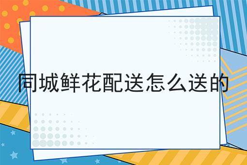 不会做如何运营自己的外卖平台怎么办?用这些方法分分钟提高
