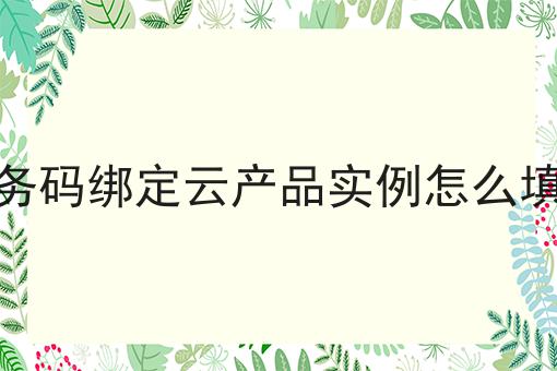 一个服务码绑定云产品实例怎么填写的快速方法