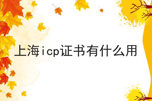 上海icp证书有什么用 上海icp证书有什么用