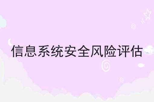 信息系统安全风险评估 信息系统安全风险评估