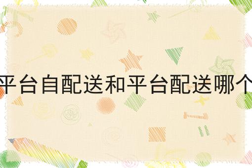 同城外卖平台的建立与发展路径