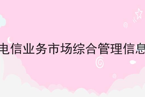 全国电信业务市场综合管理信息系统