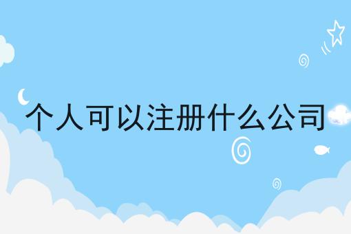 个人可以注册什么公司 个人可以注册什么公司