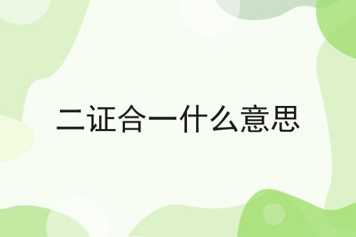 二证合一什么意思