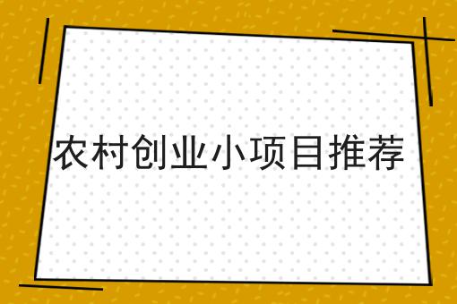 同城外卖跑腿平台