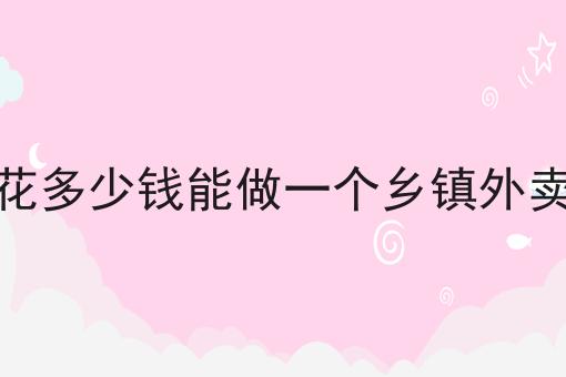 花多少钱能做一个乡镇外卖一分钟带你了解！