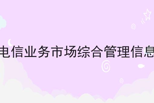 全国电信业务市场综合管理信息系统 全国电信业务市场综合管理信息系统